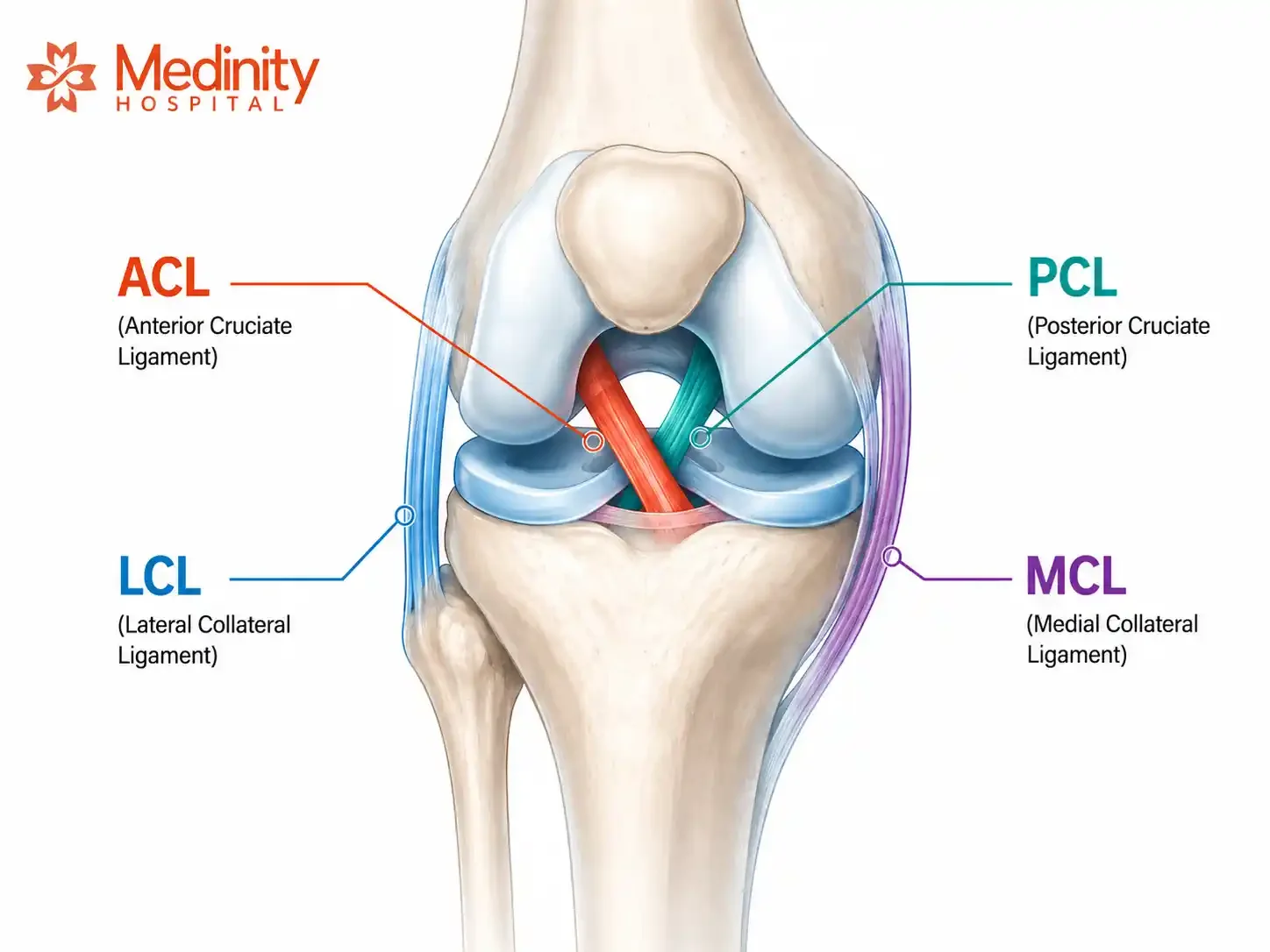 Diagram of ACL, PCL, MCL, and LCL ligaments in the knee at Medinity Hospital Lucknow